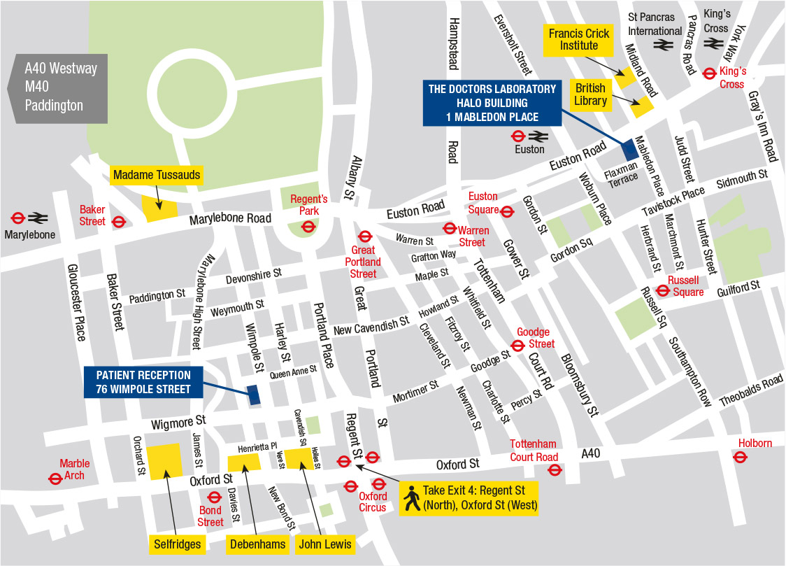 tdl_patrec_mabledon_map_may_2018_1124x809px.jpg