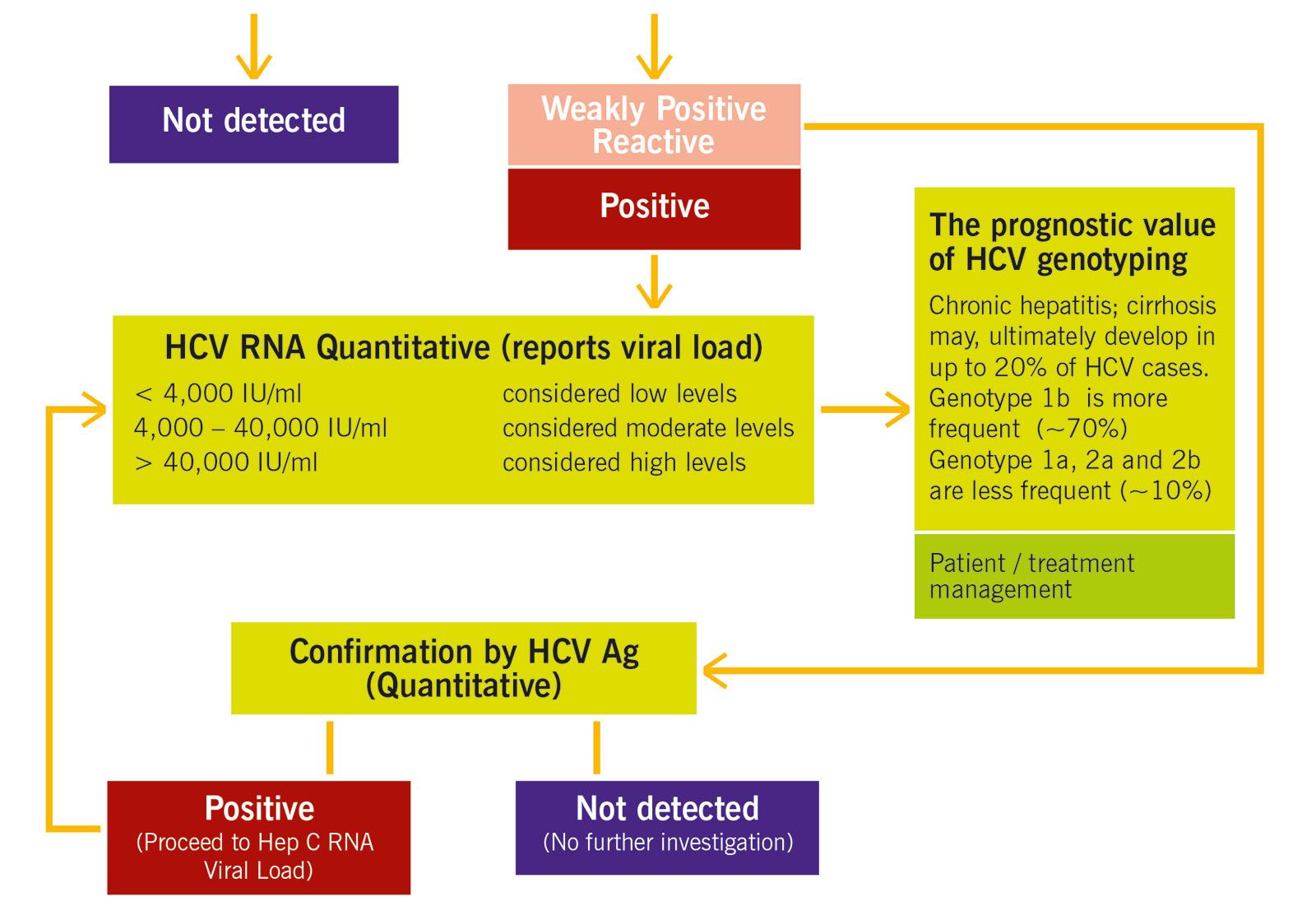 Hepatitis C antibodies workflow