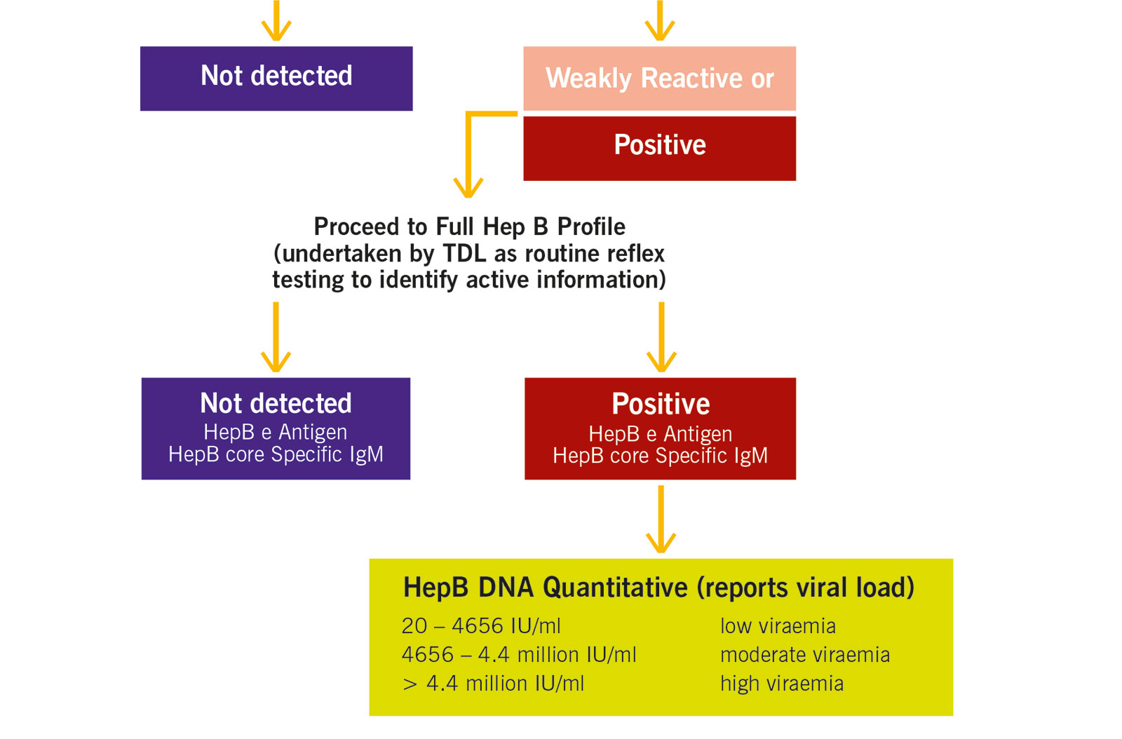 Hepatitis B surface antigen workflow