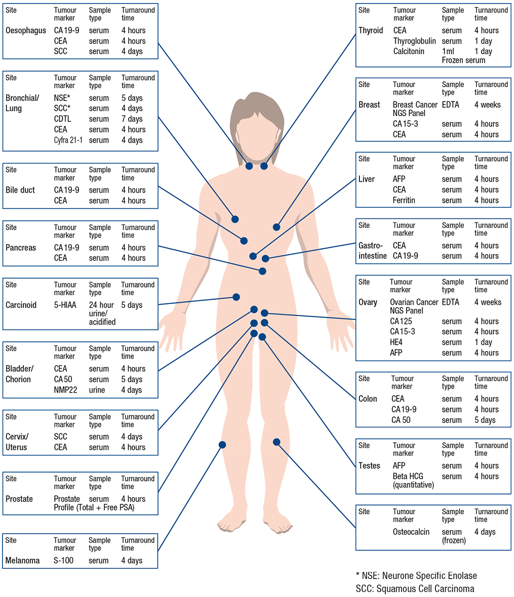 Tumour Marker Sites 1034X1200px